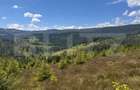 Teren partial intravilan ,9700 mp Oportunitate ,Belis - 3