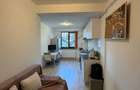 Apartament 1 camera Valea Lupului - 1