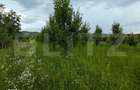 Teren intravilan, 4500 mp, zona Voinesti - 7