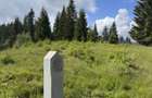 TEREN EXCEP?IONAL 2 Ha PE VIA TRANSILVANICA IN BUCOVINA - 9