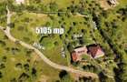 Teren intravilan 5.105 mp, Baia Sprie, la intrare pe Valea Chiuzbaii