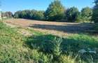 Teren intravilan 2.500 mp de vanzare aproape de centru, Cornesti, Dambovita
