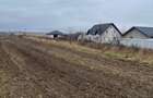 Teren Dorohoi - 23000 mp - Sau - Parcele 1000mp, 900mp, 1500mp, etc. - 6