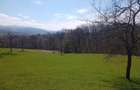 teren in Timi? zona de munte Valea lui Liman - 7