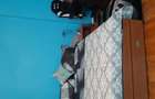 Inchiriere apart 2 camere vila - 8