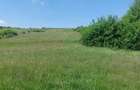 Teren de 8000 mp, în Felcheriu - 1