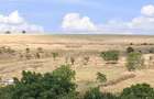 Vand teren intravilan Esechioi , jud Constanta , 2500 euro - 4