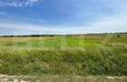 Teren cu suprafata de 8000mp ,situat in Mitocu Dragomirnei,zona Manast