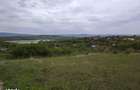 Teren 1800 mp deschidere 20 ml la Sos. de Centura- zona Ciurbesti - 3