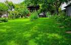 Teren 900 mp, central, str. Obedeanu- spatele Gradinii Botanice