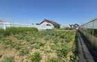 Proprietate 2.229 mp cu Dotări pentru Afacere Florală - 13