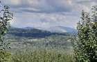 TEREN EXTRAVILAN 6.700 MP Miclosanii Mari, Dambovita | Potential pentru INVESTITIE TURISTICA