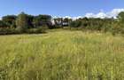 TEREN INTRAVILAN in HATEG , Parcele de la 500 m2 cu 10 euro m2 langa Baraj la intrare in Santamaria Orlea - 7