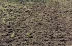 Vand teren intravilan Sat Lanurile - 1