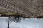 Teren 2,5 ha Giurgiu - 5
