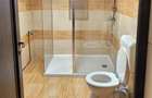 Proprietar inchiriez spatiu ultracentral Arad- B-dul Revolutiei (McDonald s) -55mp - ap 2 camere - 6