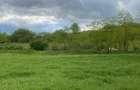 Vand Teren in Stejeris - 0753 019 211 - 2