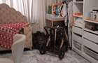 Apartament 3 camere, parter, in Chitila