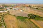 Teren 20.000 mp Arad. Ideal pentru mica industrie, servicii, transport - 8