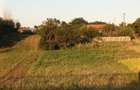 Gospodărie completă: Casă cărămidă, curte, livadă + Teren intravilan inclus - 16