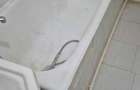 Apartament 2 camere semidecomandat - 3