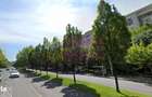 Apartament 2 camere decomandat pe bd Unirii stradal - 1