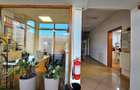 Hale Industriale 5065 mp de vanzare Str. Bradului - Bacau - 9