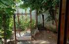 Apartament cu gradina de inchiriat - 4