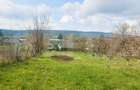 Casa de vanzare, 2900mp teren, Dolhestii Mari - 6