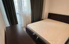 Apartament 2 camere Parcul Circului - 9