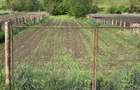 Vand teren in sat ?mig, com. Alma, Jud .Sibiu. 1625 mp. - 7