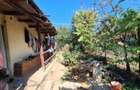 Vn casa botoroaga teleorman - 7