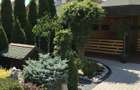 Casa vila Sibiu Selimbar Brana de inchiriat - 8