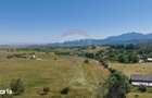 Teren Bran -Sohodol, Strada La mesteceni, 6900mp