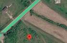 Teren intravilan + extravilan 2.000 mp, DN67 acces direct la strada - 3