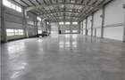 Spatiu Industrial - 1250 mp - Depozitare - Distributie - 7