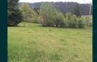 teren intravilan zona Bicaz - 4