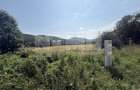 Teren intravilan de vanzare | Sucevita | Front 53 m - 7
