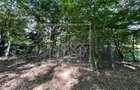 Teren in Cisnadie - 1.500 mp, inainte de Tocile, acces la drum, invest - 5