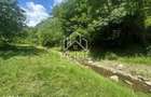Casa de vacanta 98 mp| 25.000 mp teren| zona Valea Vintului - 4