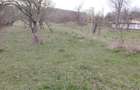 Teren de vanzare Bisoca - 1