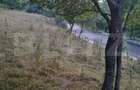 Teren extravilan, 2.175 mp, zona ?esuri