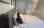 Apartament 3 camere, 69 mp, zona Gheorghe Lazar - 2