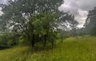 Vand teren intravilan - 5