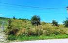 - Teren intravilan - Cluj - Sutu - Comuna Ciurila Tere - 3