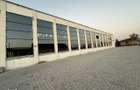 Centru comercial, spa?iu comercial de inchiriat in Carei, 50-1034mp - 18