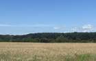 Teren intravilan de vanzare, 35000 mp cu deschidere la padure, Buftea - 1