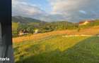 Casa 5 camere arhitectura moderna cu panorama spre Cetatea Cisnadioara - 18