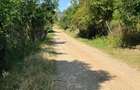 Proprietar vand teren intravilan 2774 mp - 10