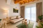 Apartament de inchiriat in Dumbravita 490 /luna - 3